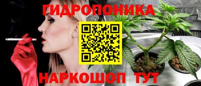 герыч Бийск